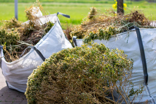 Household Junk Removal in Berwick, PA
